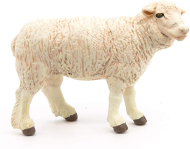 Merino sheep 51041