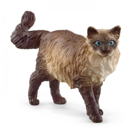 Ragdoll cat  - Schleich 13940