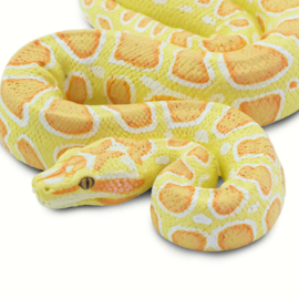 Burmese albino python S 100250