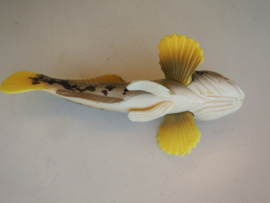 Japanese  donderpad Fluvial sculpin