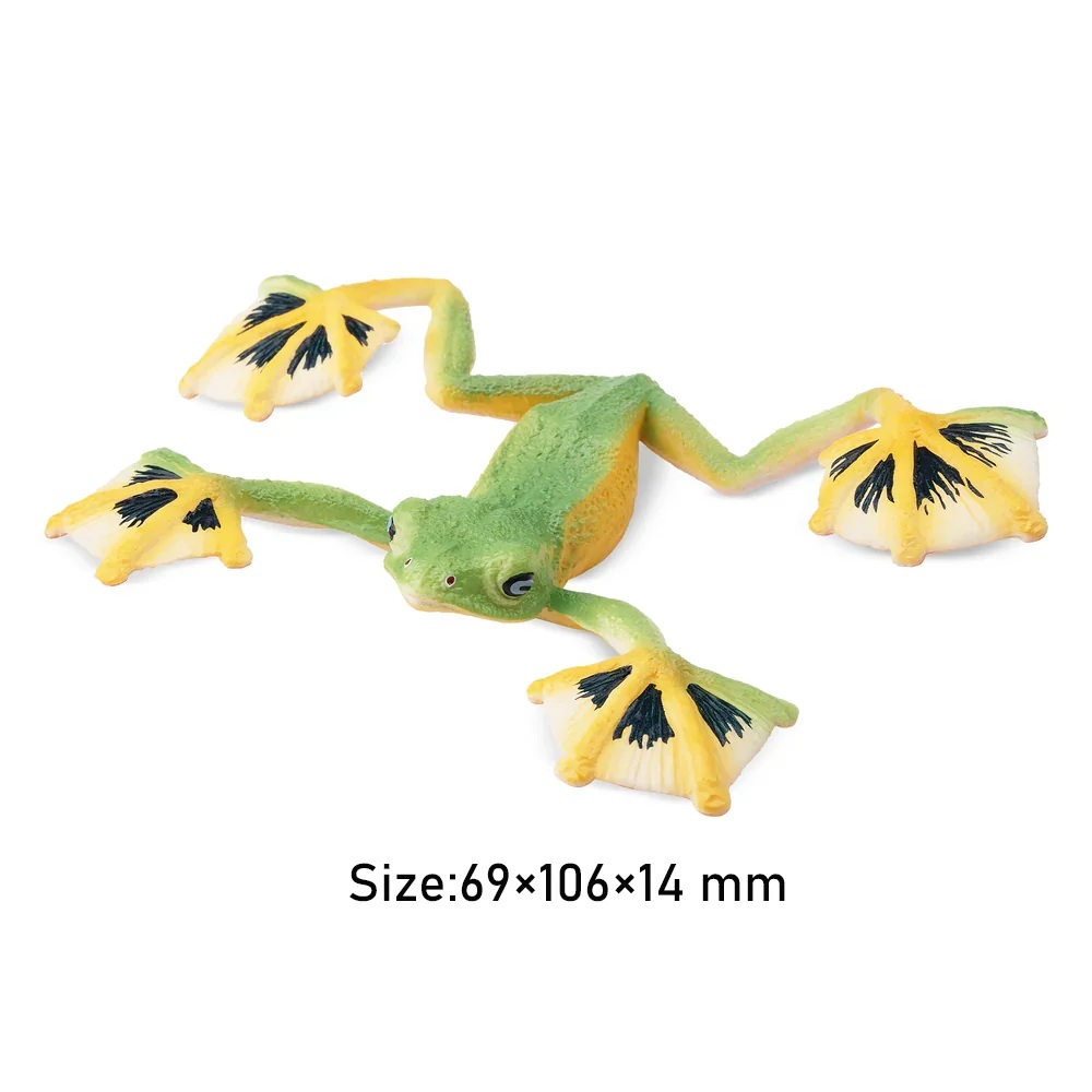 Wallace's  flying frog  Toymany