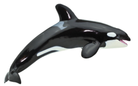 Orca      |   Killer Whale   (Monterey Bay aquarium) S210202