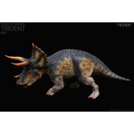 Triceratops horridus  "Trident King" REBOR 160963