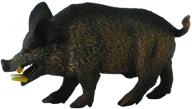 Wild Boar CollectA 88363