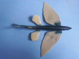 Flying fish xl