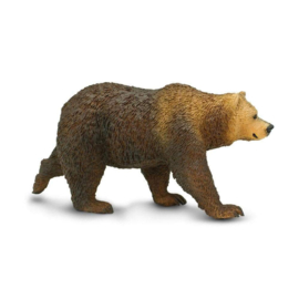 Grizzly bear  Safari 181329