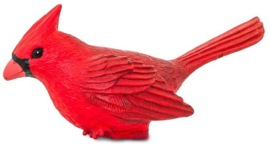 Cardinal S100215