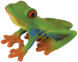 Red-Eyed Tree Frog   CollectA 88386