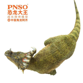 Sinoceratops A-Qi PNSO 102040