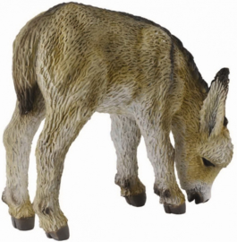 Donkey Foal grazing     CollectA  88408