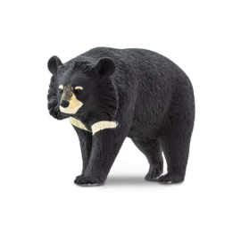 Asian Black Bear  S100044