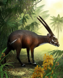 Saola (Vu-Quang-Antilope)    CollectA 88640