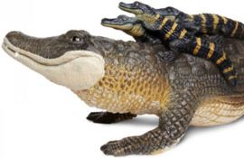 Alligator met babies  XXL S259629