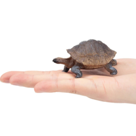 Galapagos Tortoise  Toymany