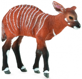 Bongo antilope kalf   CollectA 88823
