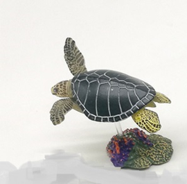 Ridley sea turtle Takara Tomy