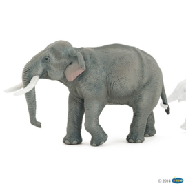 Elephant Asian    Papo 50131