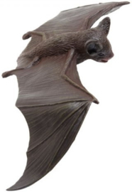 Brown Bat S260629