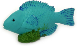 Parrot fish  (mini)