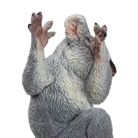 Koala Toymany