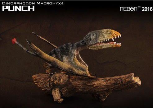 Dimorphodon "Punch" Rebor