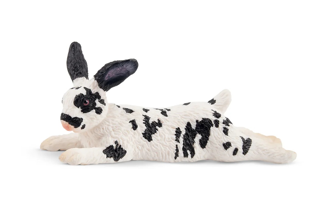 English spotted rabbit