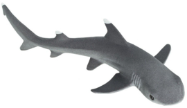 Whitetip Reef Shark   S100100
