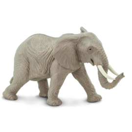 Elephant African   S270029