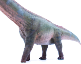 Mamenchisaurus Haolonggood HLG 095