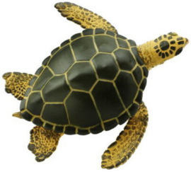 Sea turtle  green S274329