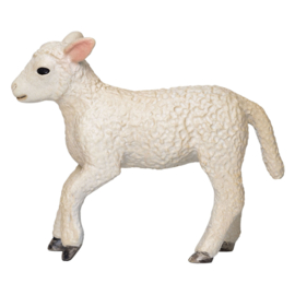 Romney sheep lamb Mojo 381066