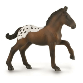 American Sugarbush  foal  XL  1:20CollectA 88897 -