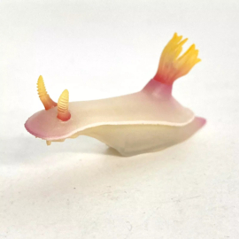 Zeenaaktslak Hypselodoris bullockii