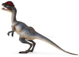 Dilophosaurus Safari 287829