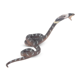 Cobra  Toymany