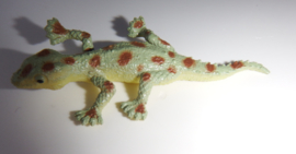 Gecko ofTokeh  (mini)