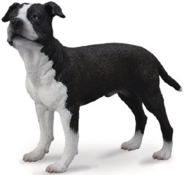 American Staffordshire Terrier  CollectA 88610