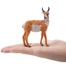 Pronghorn Toymany