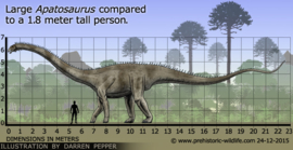 Apatosaurus  Papo 55039