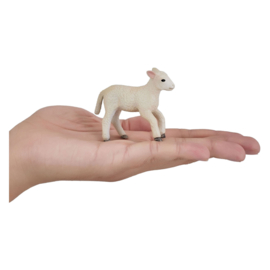 Romney sheep lamb Mojo 381066