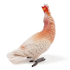 Major Mitchell's Cockatoo