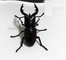 207a Saw stag beetle Kaiyodo Furuta