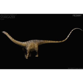 Pre-order Male Diplodocus carnegii "Stargazer"
