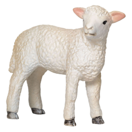 Romney sheep lamb  Mojo 387060
