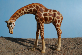 Giraffe Bullyland  63668