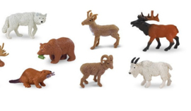 Wildlife Noord Amerika  S697004