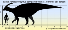 Parasaurolophus Papo 55085