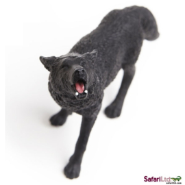 Wolf black  Safari 181129