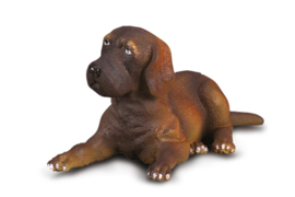 DANISH DOG PUPPY   CollectA 88065