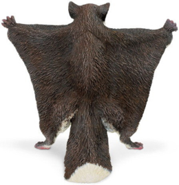 Vliegende Eekhoorn  S250229